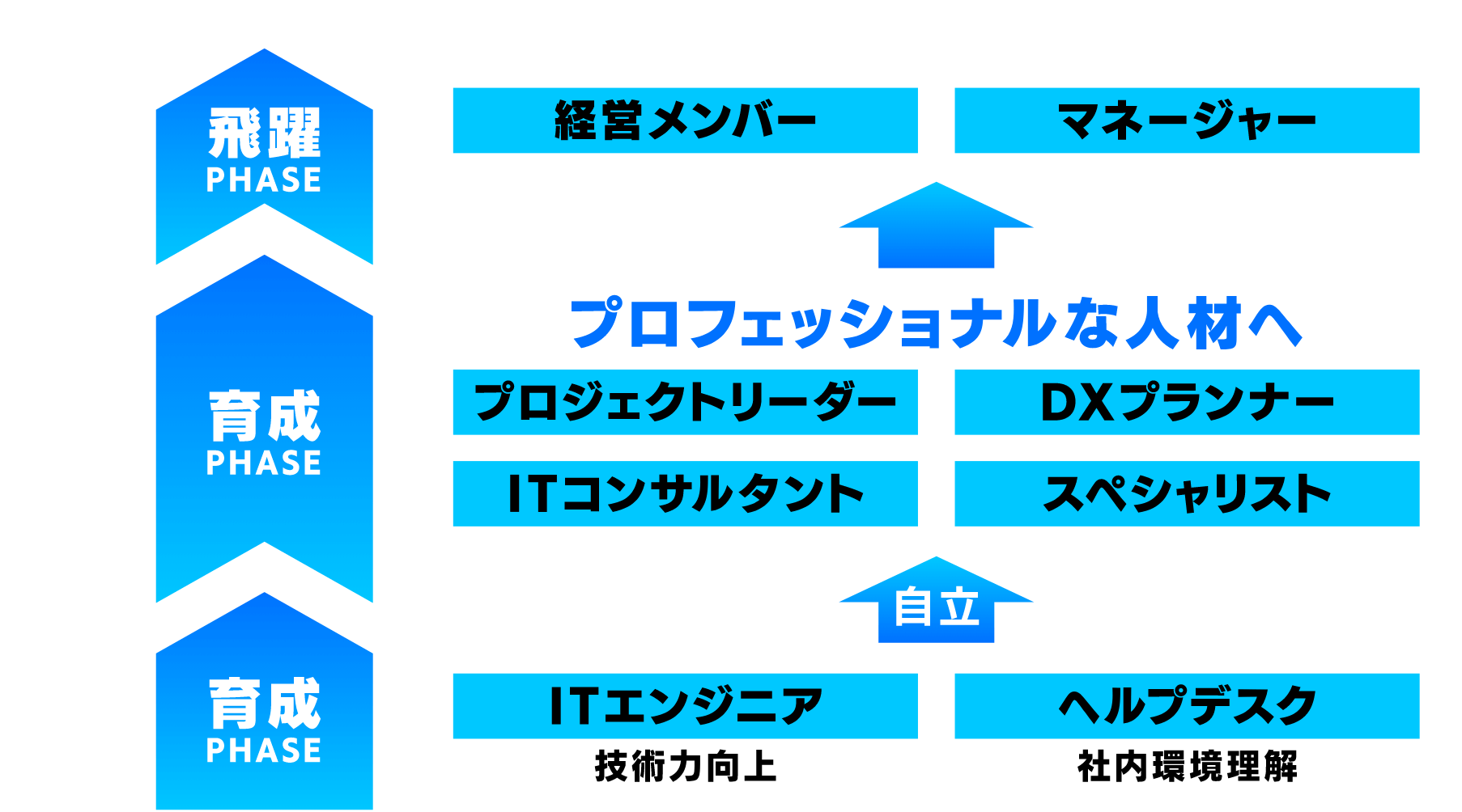 育成からの始まり飛躍で終わる